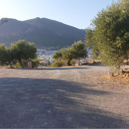 Villa El Mirador Algodonales Kültér fotó